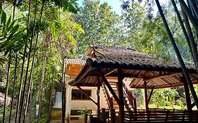 Maewin Guesthouse And Resort